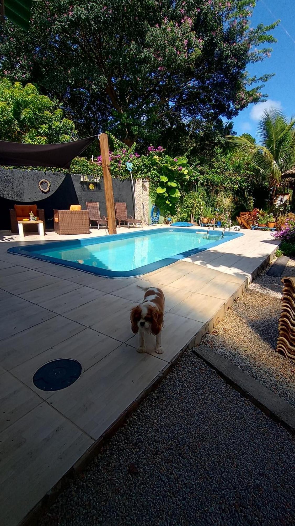 Pousada Zaua Guest House Florianópolis 外观 照片