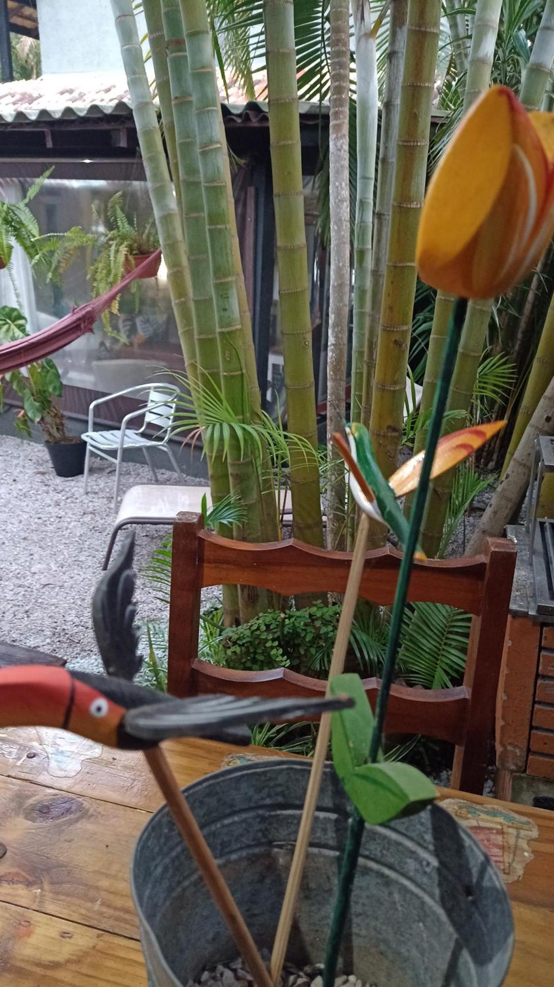 Pousada Zaua Guest House Florianópolis 外观 照片